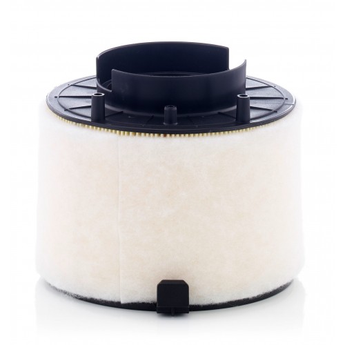 C 17 009 - Hava filtresi -  MANN FILTER