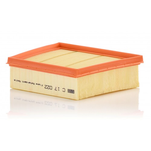 C 17 022 - Hava filtresi -  MANN FILTER