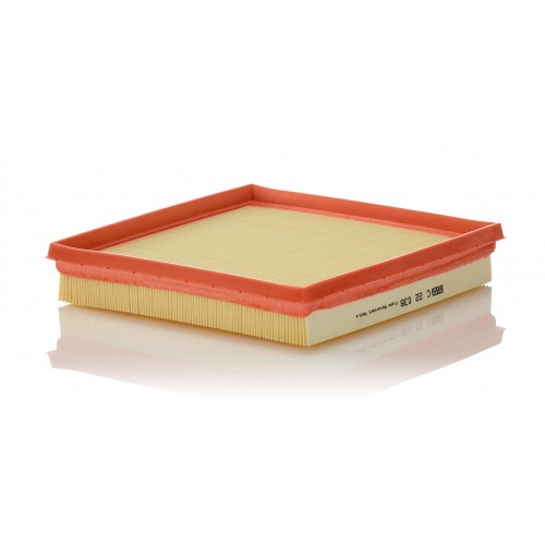 C 22 038 - Hava filtresi -  MANN FILTER