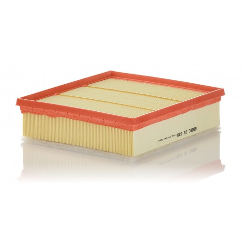 C 22 039 - Hava filtresi -  MANN FILTER