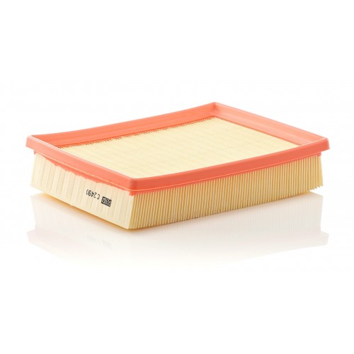 C 2490 - Hava filtresi -  MANN FILTER