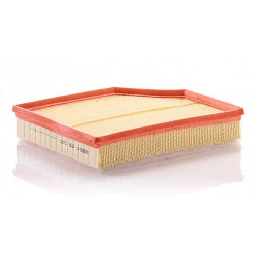 C 29 021 - Hava filtresi -  MANN FILTER